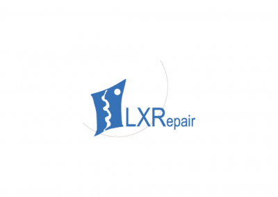 LX Repair