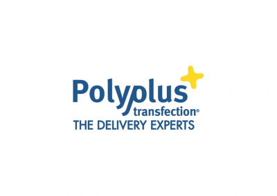 Polypus Transfection