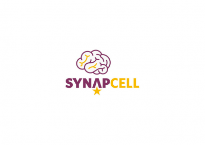 Synapcell